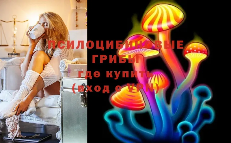 Псилоцибиновые грибы Psilocybine cubensis  Нижнекамск 